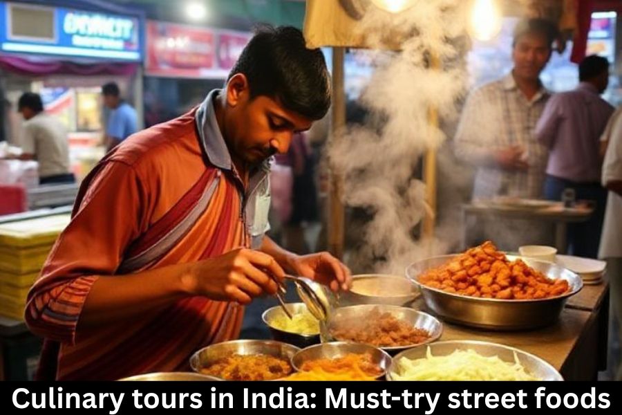 Culinary tours in India: Must-try street foods Culinary tours in India: Must-try street foods